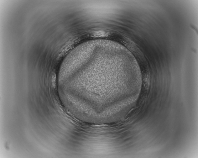 X0000099310556200805301156