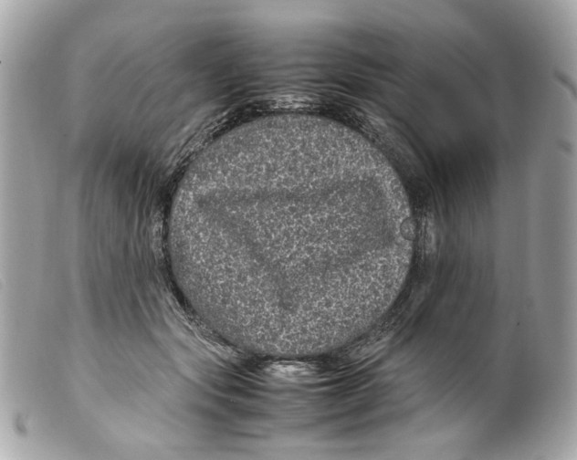 X0000099310557200805301156