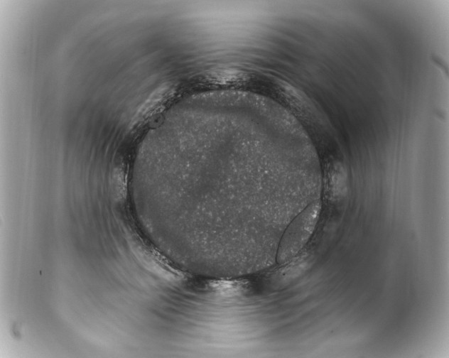X0000099310558200805301156
