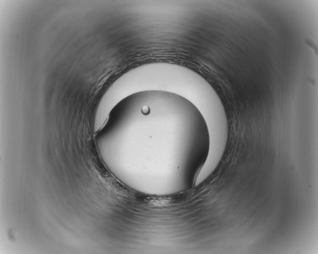 X0000099310560200805301156