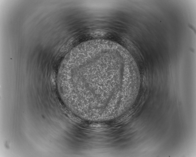X0000099310561200805301156