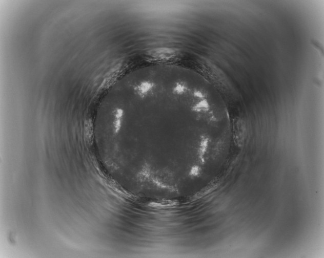 X0000099310563200805301156