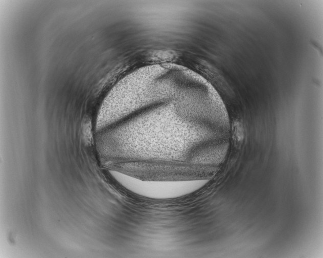 X0000099310564200805301156