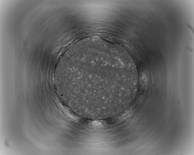 X0000099310566200805301156