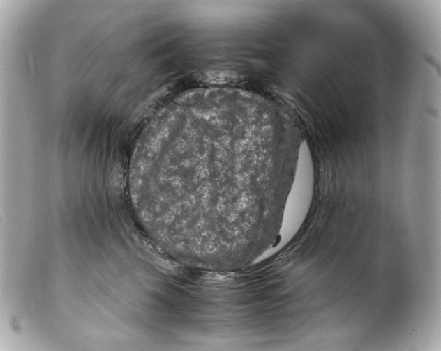 X0000099310569200805301156