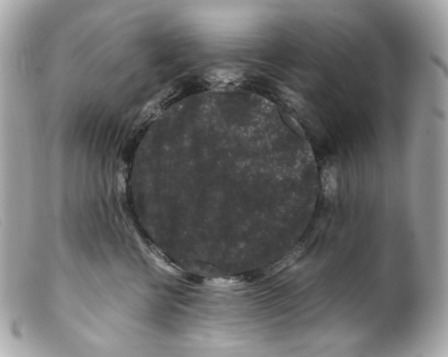 X0000099310570200805301156