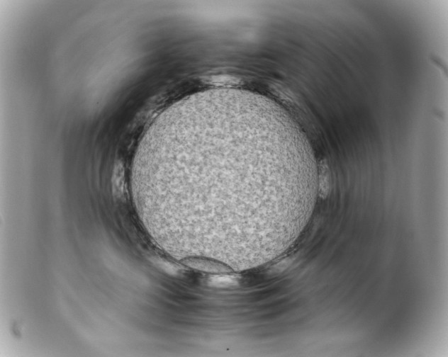 X0000099310573200805301156