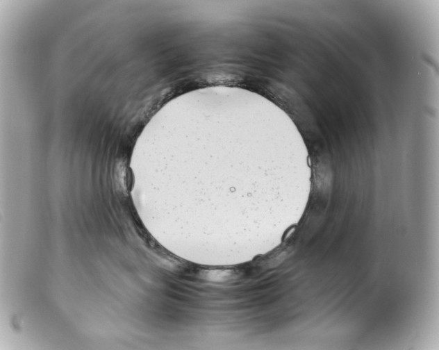 X0000099310575200805301156