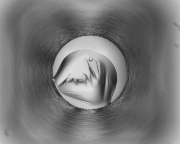X0000099310576200805301156