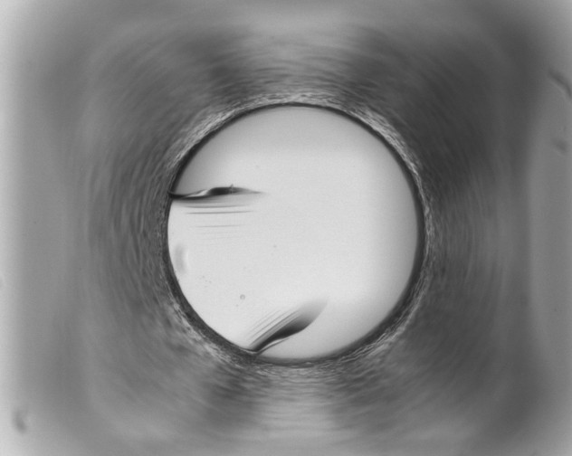 X0000099310577200805301156