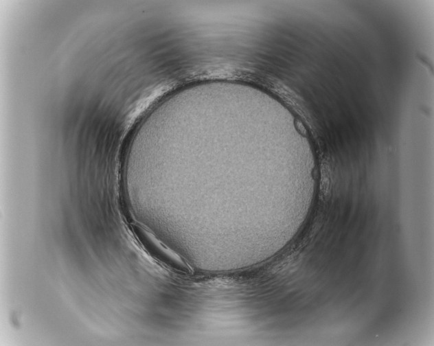 X0000099310578200805301156