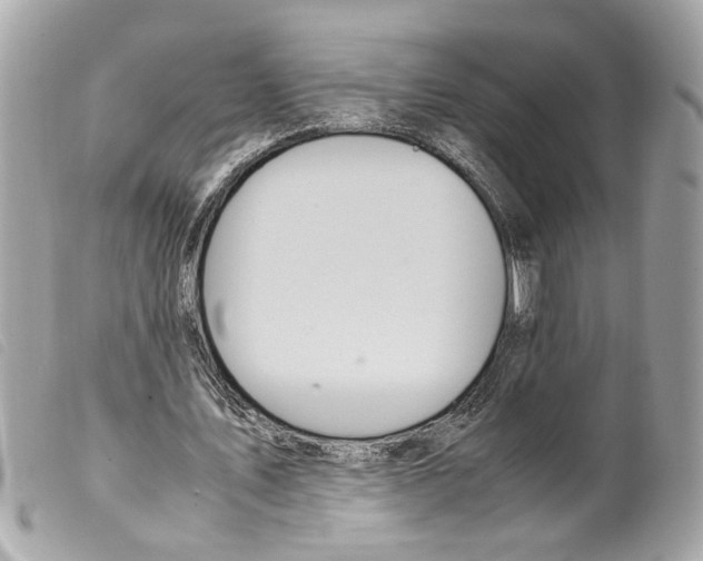 X0000099310579200805301156