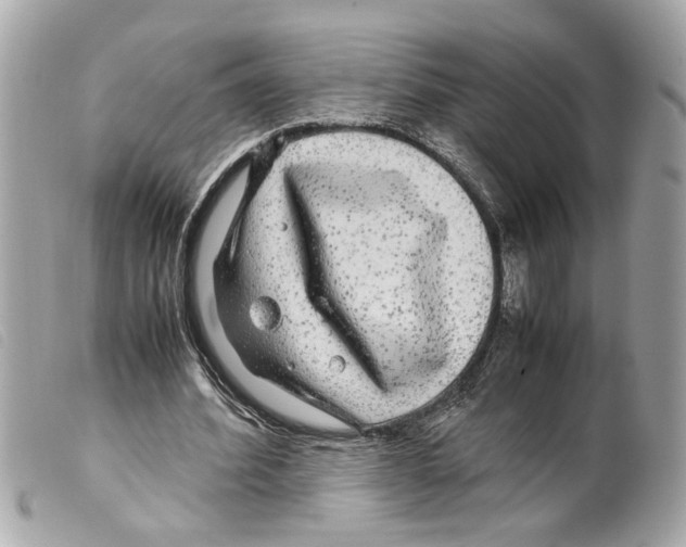 X0000099310580200805301156
