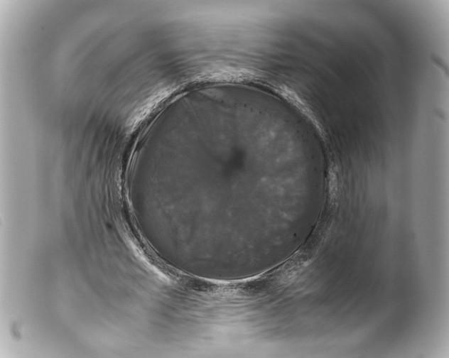 X0000099310581200805301156