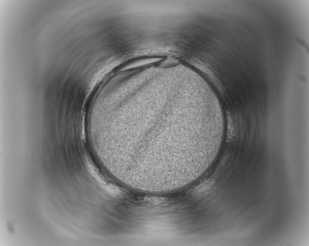 X0000099310582200805301156
