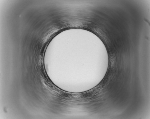X0000099310583200805301156