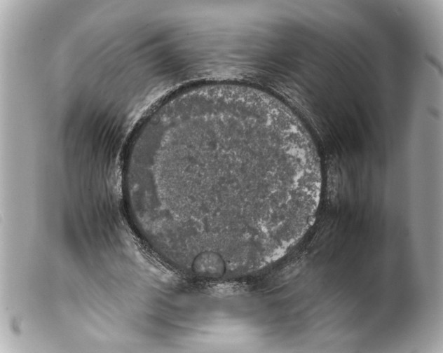 X0000099310584200805301156
