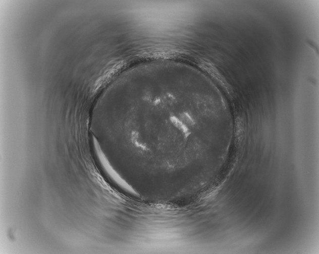 X0000099310585200805301156