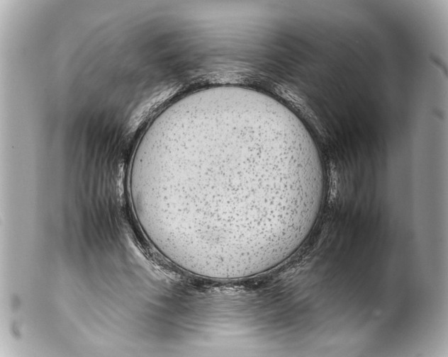 X0000099310586200805301156