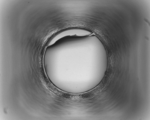 X0000099310587200805301156