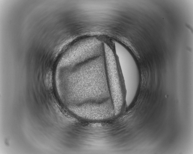 X0000099310588200805301156