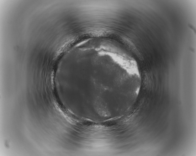 X0000099310590200805301156