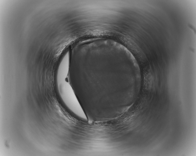 X0000099310592200805301156