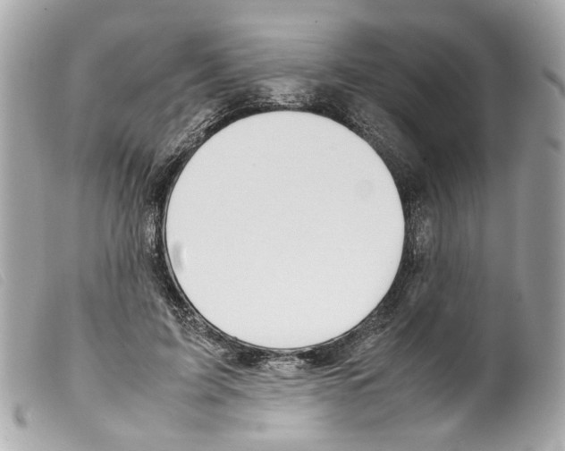 X0000099310595200805301156