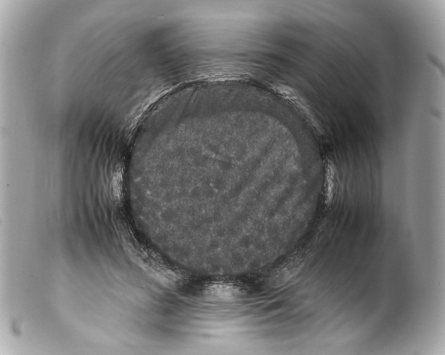 X0000099310596200805301156