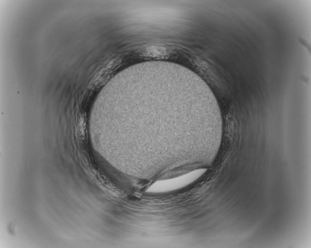 X0000099310597200805301156