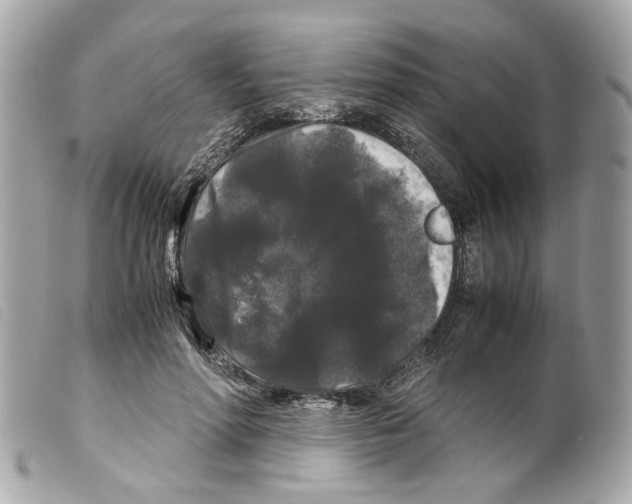 X0000099310598200805301156