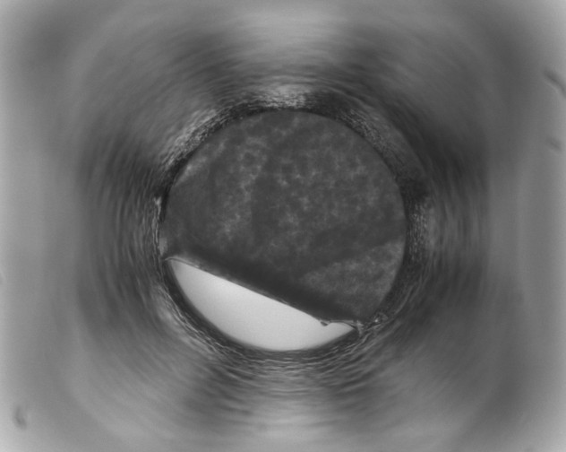 X0000099310600200805301156