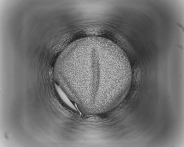 X0000099310601200805301156