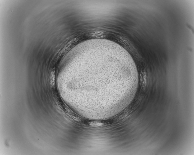X0000099310602200805301156