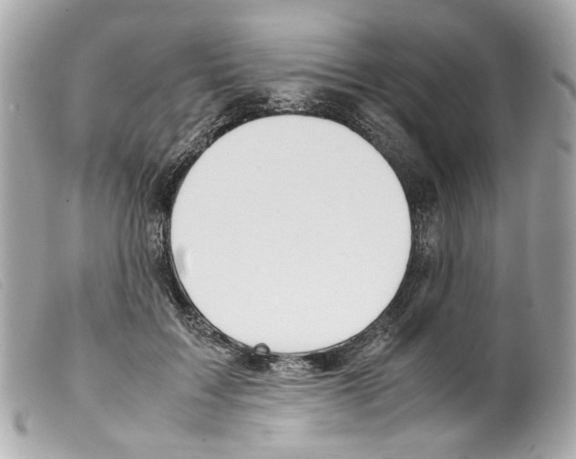X0000099310603200805301156