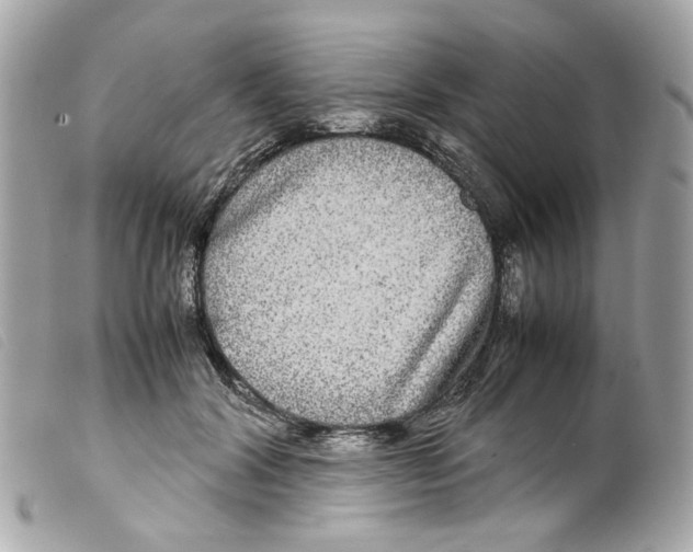 X0000099310604200805301156