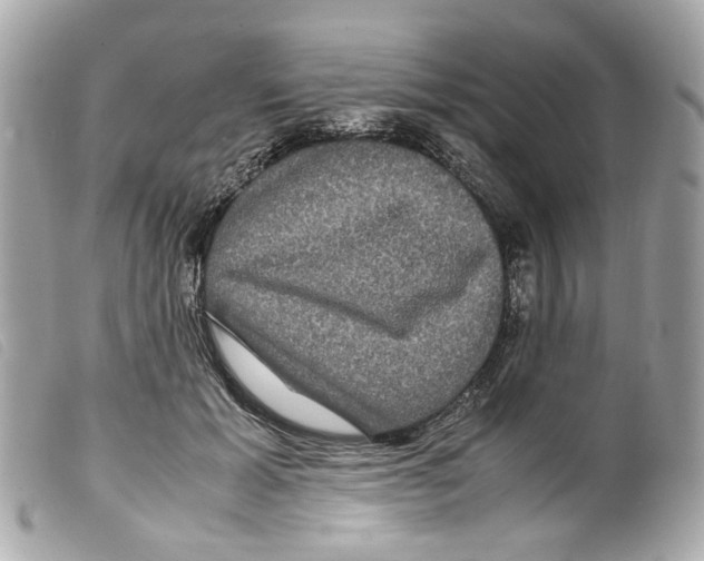 X0000099310605200805301156