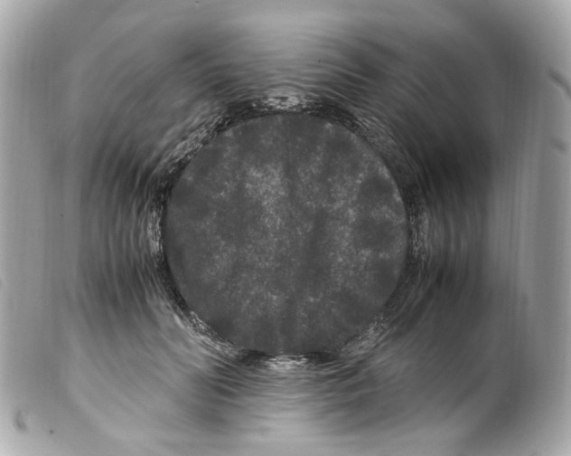 X0000099310606200805301156