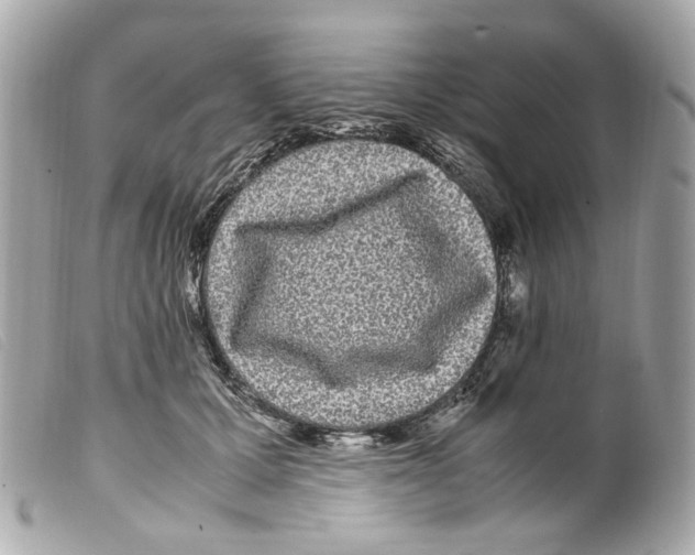 X0000099310607200805301156