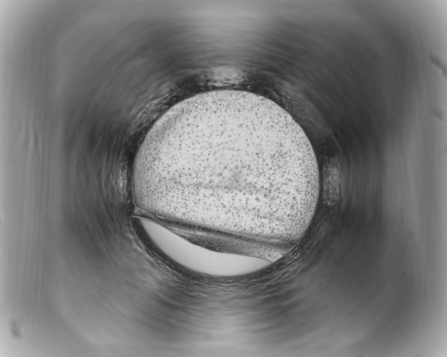 X0000099310608200805301156