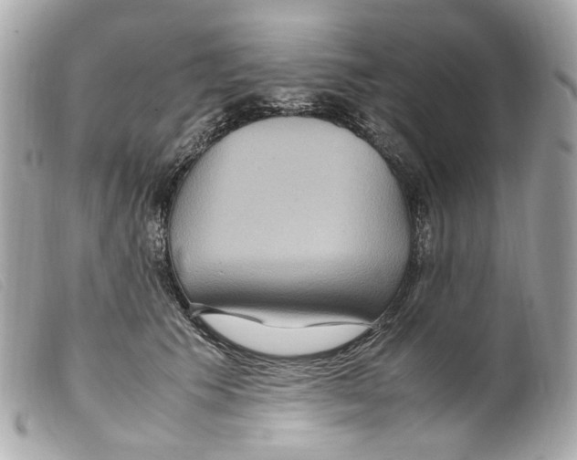 X0000099310609200805301156