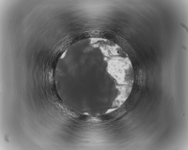 X0000099310610200805301156