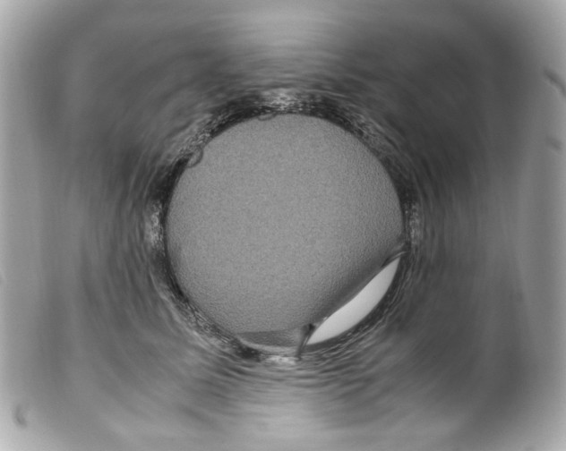 X0000099310611200805301156
