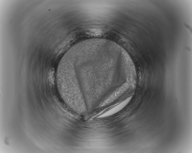 X0000099310612200805301155
