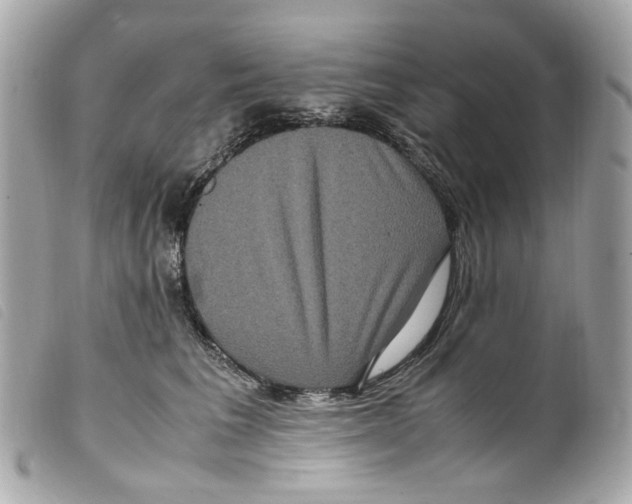 X0000099310613200805301155