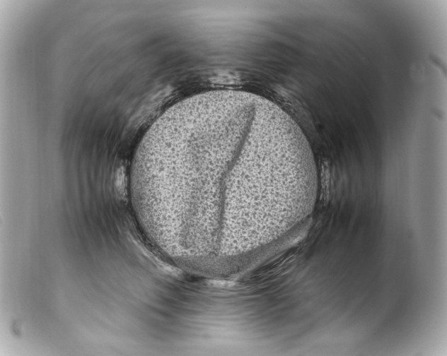 X0000099310614200805301155