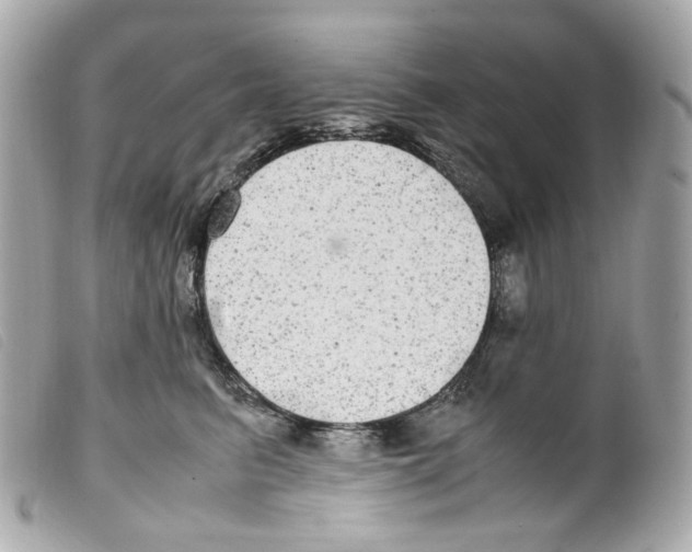 X0000099310615200805301155