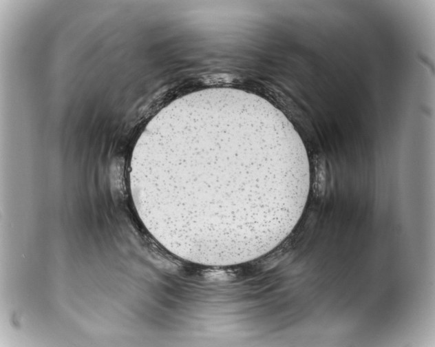 X0000099310616200805301155