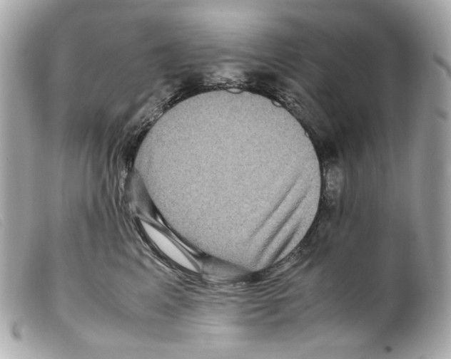 X0000099310617200805301155