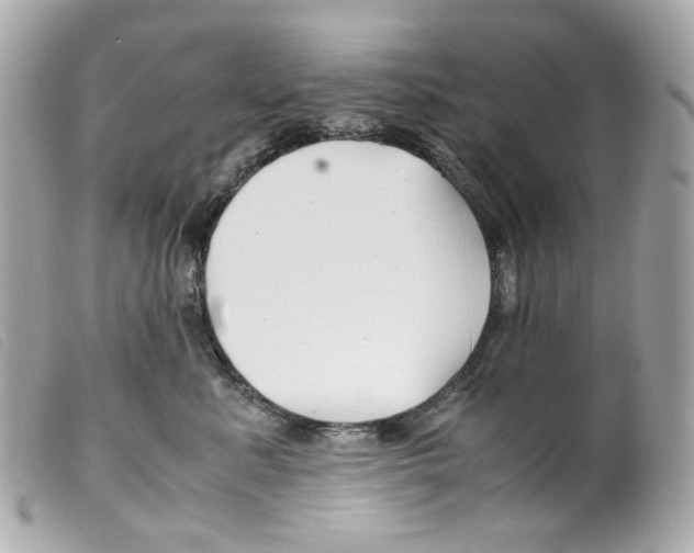 X0000099310619200805301155